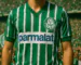 Camisas listradas do Palmeiras Anos 90 Mundo Retro