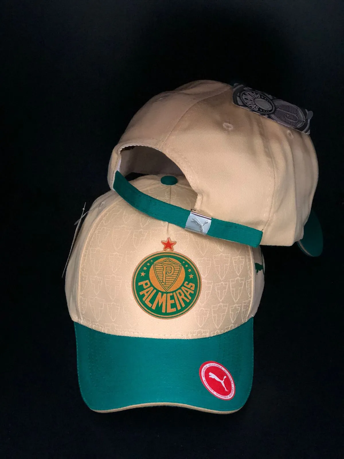 WhatsApp Image 2025-08-29 at 14.02.36 Boné Palmeiras Estrela - Imagem 1